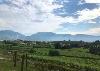 Villa Bifamiliare Conegliano - foto 4