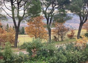 Villa Unifamiliare Bologna - foto 17