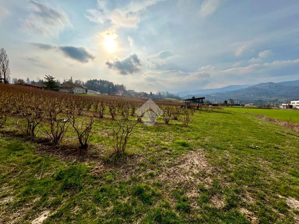 Agricultural land Via Vittorio Emanuele II, Bricherasio - photo 1