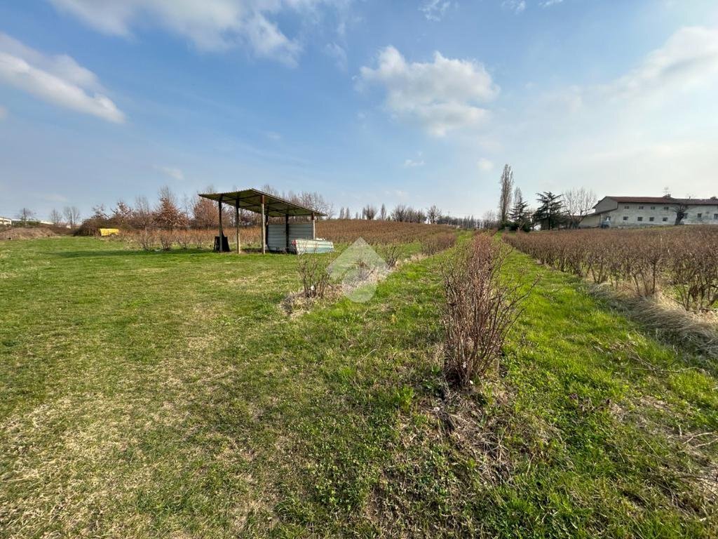 Agricultural land Via Vittorio Emanuele II, Bricherasio - photo 2
