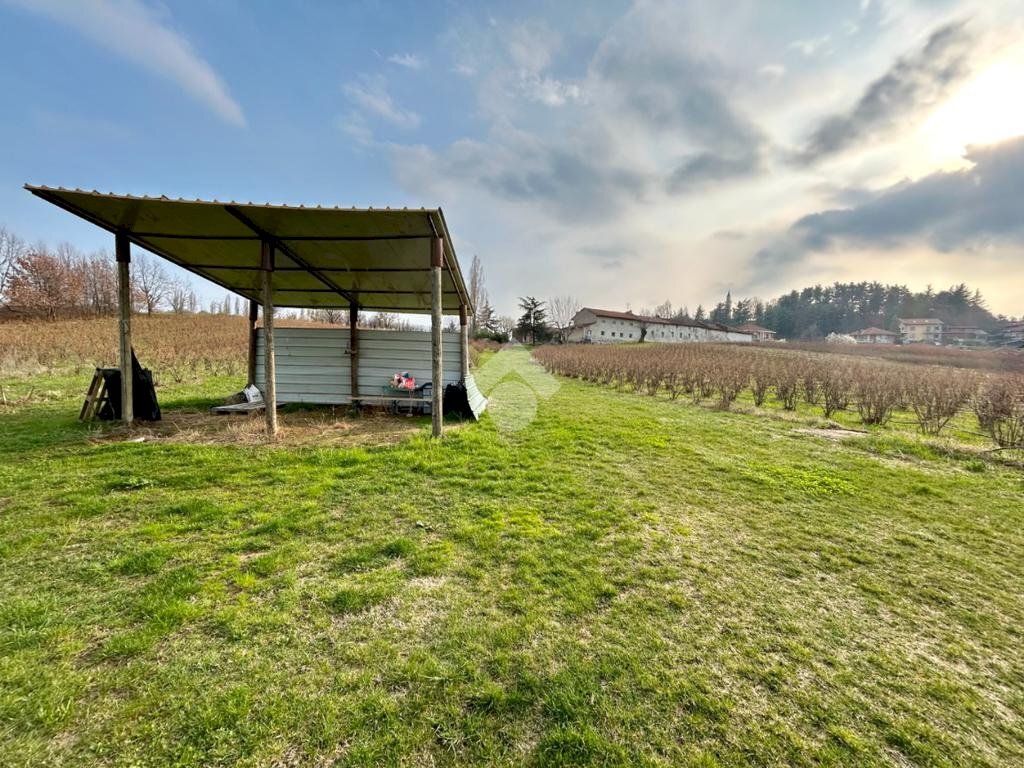 Agricultural land Via Vittorio Emanuele II, Bricherasio - photo 3