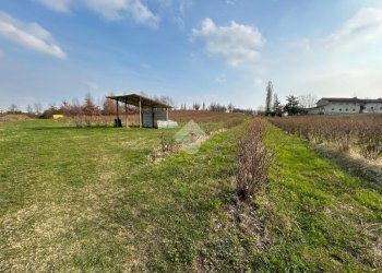 Agricultural land Via Vittorio Emanuele II, Bricherasio - photo 2