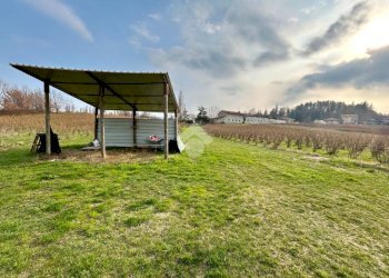 Agricultural land Via Vittorio Emanuele II, Bricherasio - photo 3