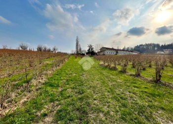 Agricultural land Via Vittorio Emanuele II, Bricherasio - photo 7