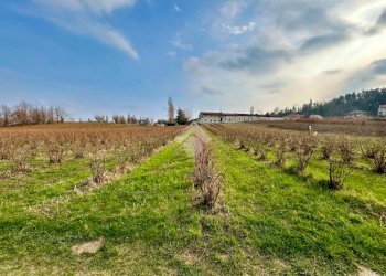 Agricultural land Via Vittorio Emanuele II, Bricherasio - photo 8