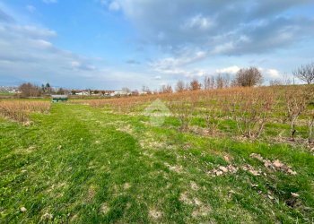 Agricultural land Via Vittorio Emanuele II, Bricherasio - photo 9
