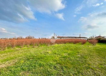 Agricultural land Via Vittorio Emanuele II, Bricherasio - photo 11