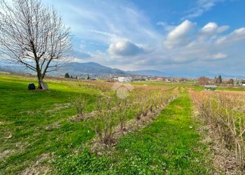 Agricultural land Via Vittorio Emanuele II, Bricherasio - photo 13