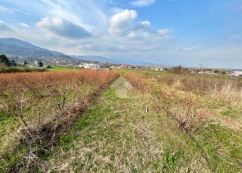 Agricultural land Via Vittorio Emanuele II, Bricherasio - photo 14
