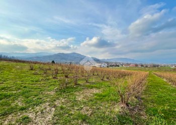 Agricultural land Via Vittorio Emanuele II, Bricherasio - photo 15