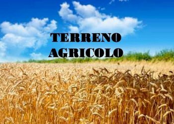 TERRENO AGRICOLO A CORPO UNICO - Terreno agricolo Tortona - foto 1