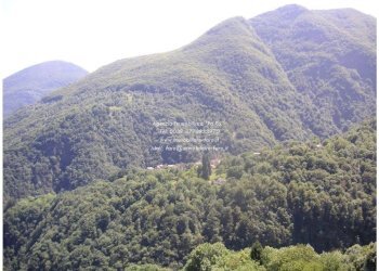 Vista - Casa indipendente via Roma, Valle Cannobina - foto 10