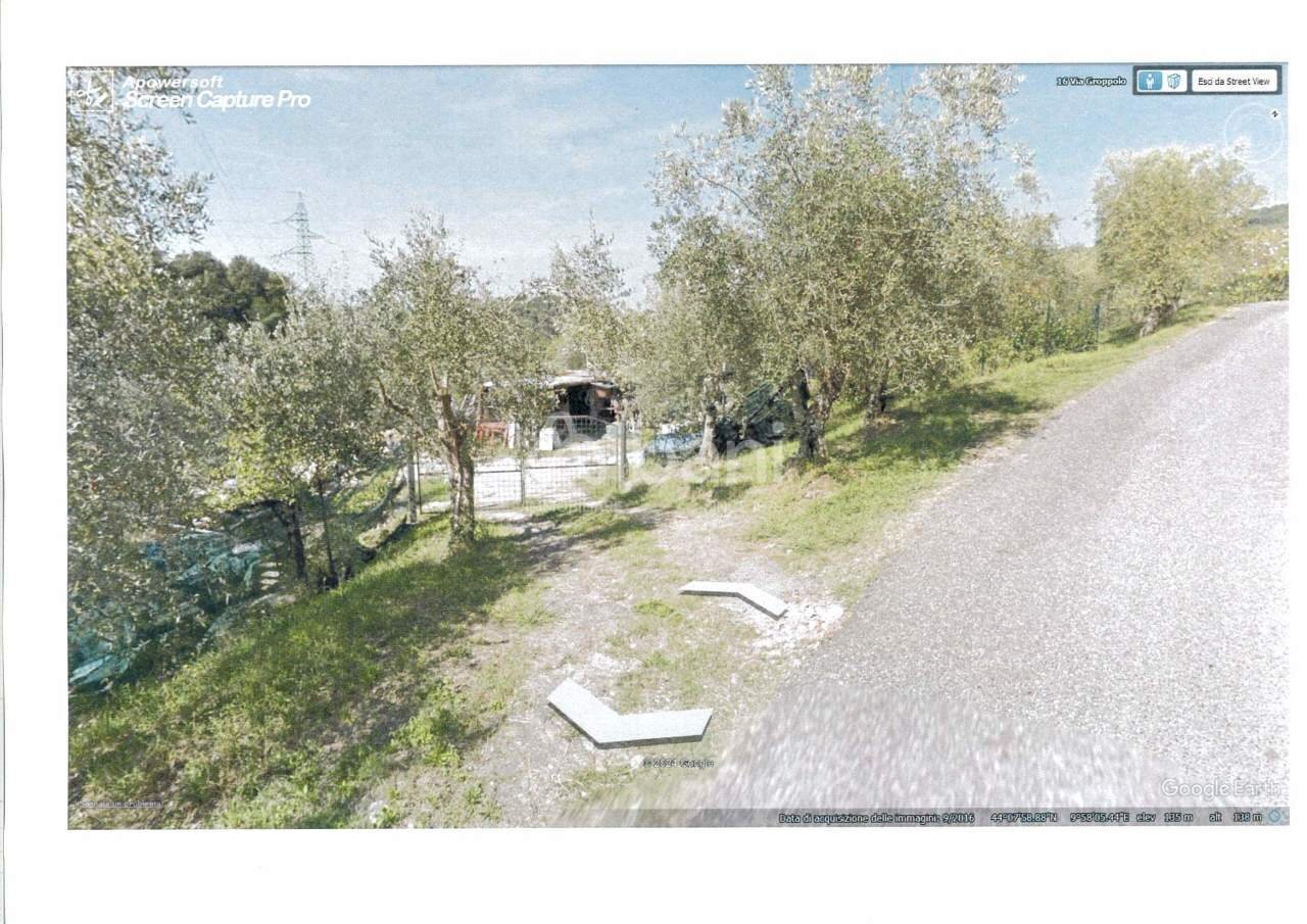 TE150_TERRENO_LOC_BRADIA - Terreno agricolo Mulazzo - foto 1