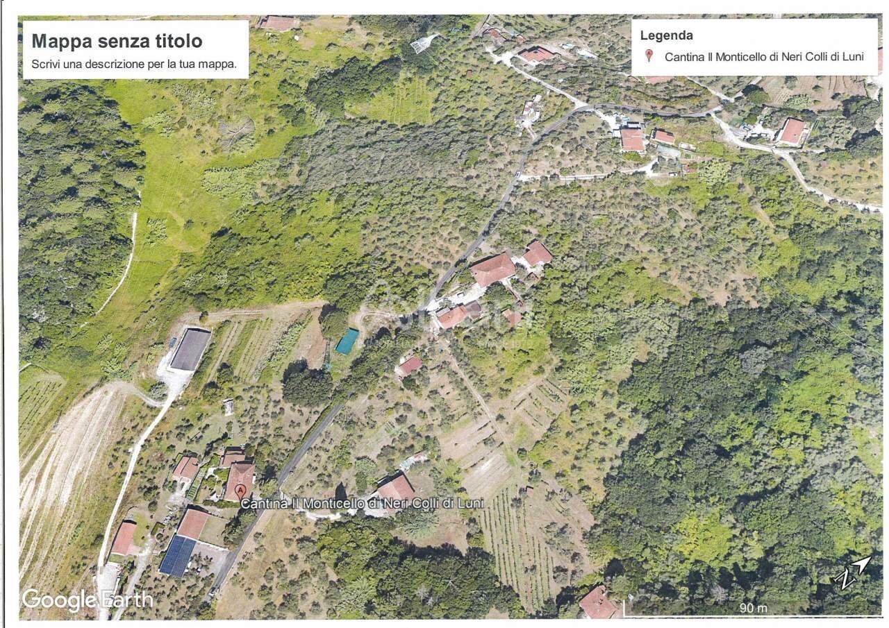 TE150_TERRENO_LOC_BRADIA - Terreno agricolo Mulazzo - foto 2