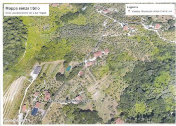 TE150_TERRENO_LOC_BRADIA - Terreno agricolo Mulazzo - foto 2