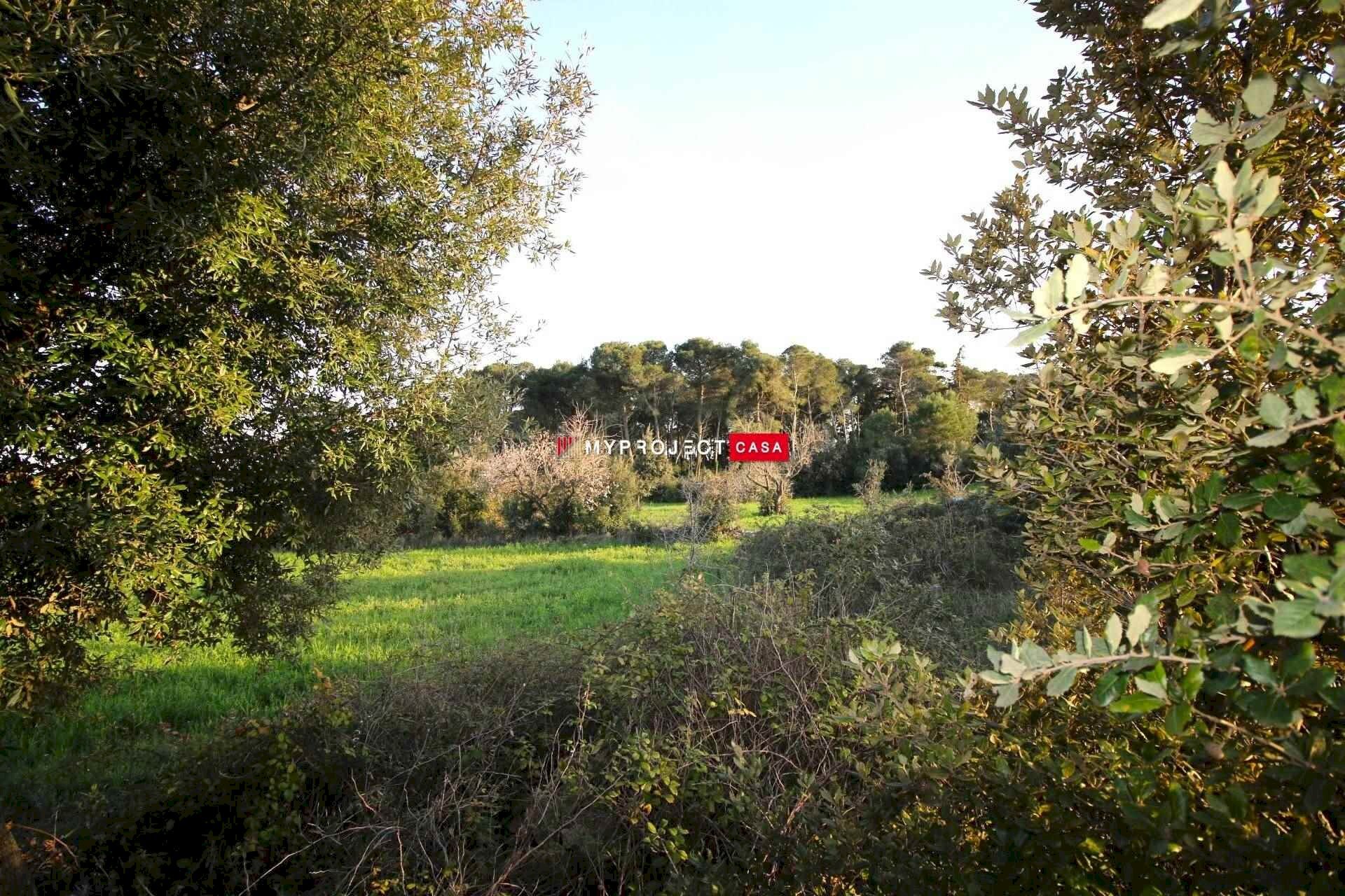 Terreno edificabile Contrada Gemma, Martina Franca - foto 2