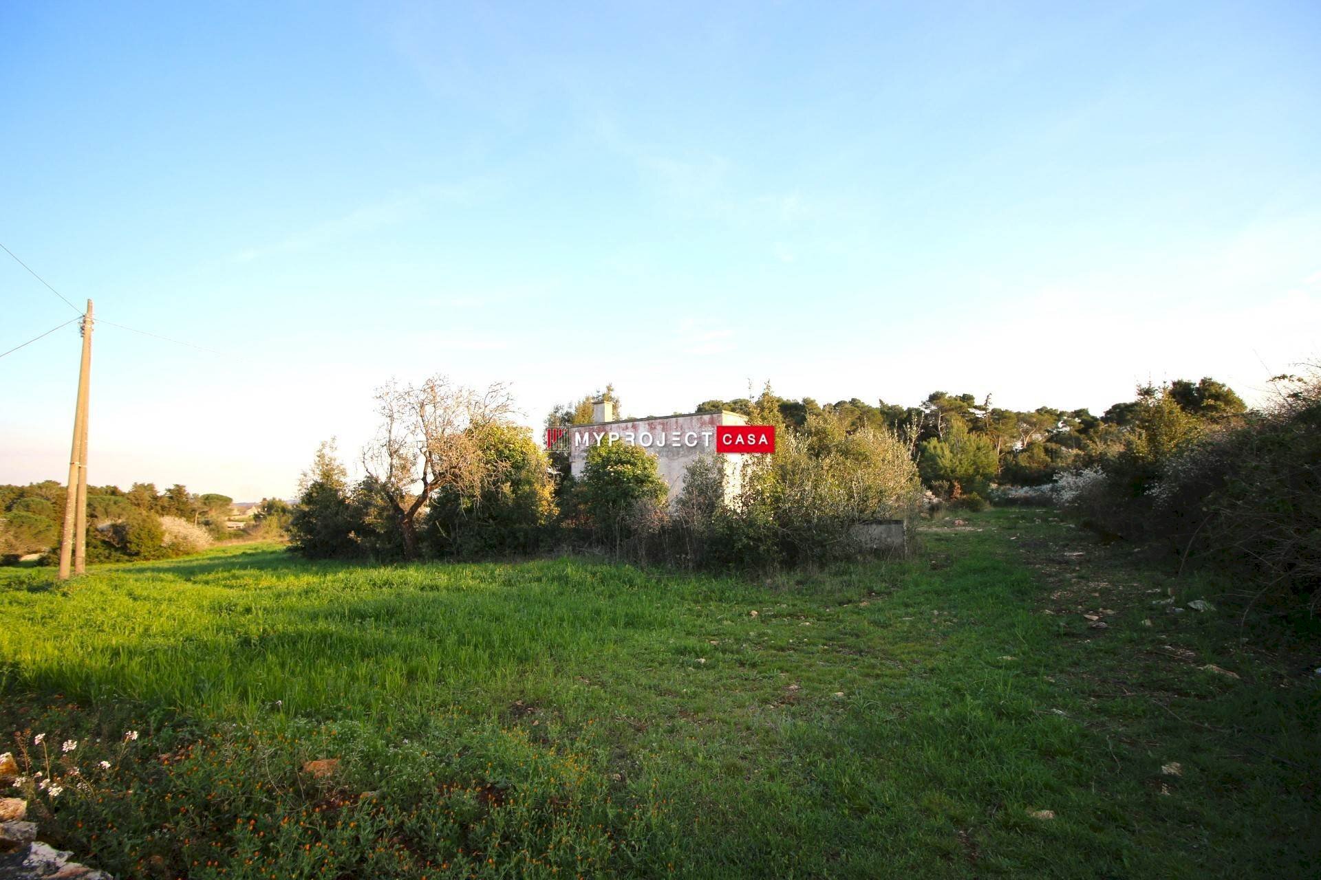 Terreno edificabile Contrada Gemma, Martina Franca - foto 3