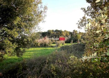 Terreno edificabile Contrada Gemma, Martina Franca - foto 2