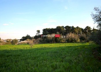 Terreno edificabile Contrada Gemma, Martina Franca - foto 6