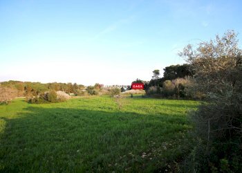 Terreno edificabile Contrada Gemma, Martina Franca - foto 7