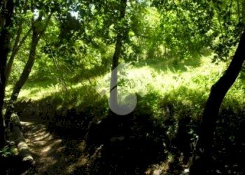 Building land Antey, Antey-Saint-Andrè - photo 10