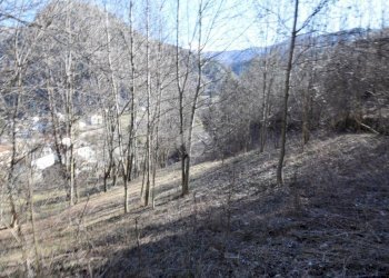 Building land Antey, Antey-Saint-Andrè - photo 19