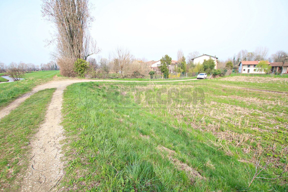 IMG_3548.JPG - Agricultural land Villaverla - photo 1