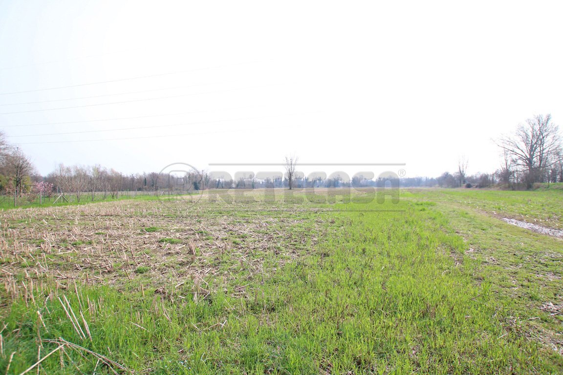 IMG_3541.JPG - Agricultural land Villaverla - photo 3