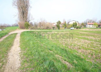 IMG_3548.JPG - Terreno agricolo Villaverla - foto 1