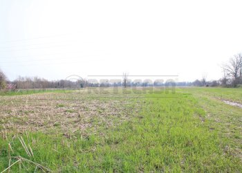 IMG_3541.JPG - Terreno agricolo Villaverla - foto 3