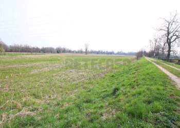 IMG_3542.JPG - Terreno agricolo Villaverla - foto 4