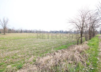 IMG_3555.JPG - Terreno agricolo Villaverla - foto 10