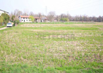 IMG_3546.JPG - Terreno agricolo Villaverla - foto 11