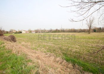 IMG_3556.JPG - Terreno agricolo Villaverla - foto 12