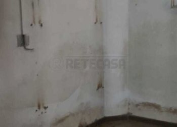 foto 11.jpg - Locale Commerciale Via G. Pascoli 131, Cassino - foto 12