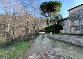 WhatsApp Image 2024-02-21 at 16.38.02.jpeg - Casale Castelnuovo Magra - photo 8