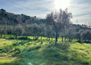 WhatsApp Image 2024-02-21 at 16.38.15 (1).jpeg - Porzione di casa Castelnuovo Magra - foto 6