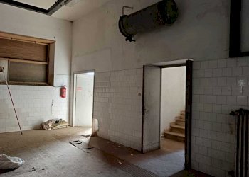 WhatsApp Image 2024-03-18 at 12.40.29 (1).jpeg - Non Alimentare Amelia - foto 2