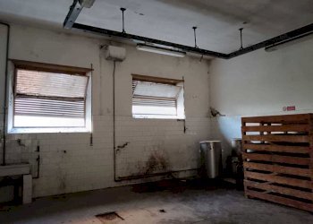 WhatsApp Image 2024-03-18 at 12.40.32 (1).jpeg - Non Alimentare Amelia - foto 4