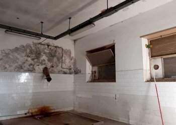 WhatsApp Image 2024-03-18 at 12.40.32 (2).jpeg - Non Alimentare Amelia - foto 5