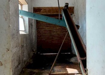 WhatsApp Image 2024-03-18 at 12.40.32.jpeg - Non Alimentare Amelia - foto 6