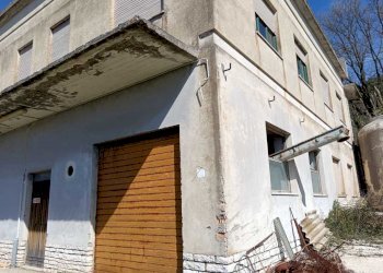 WhatsApp Image 2024-03-18 at 12.40.40 (1).jpeg - Non Alimentare Amelia - foto 8