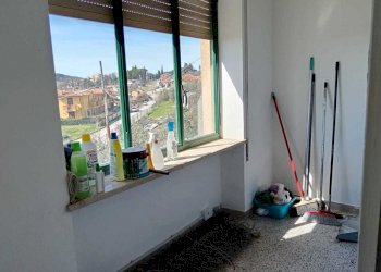 WhatsApp Image 2024-03-18 at 12.40.41 (1).jpeg - Non Alimentare Amelia - foto 12