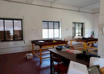 WhatsApp Image 2024-03-18 at 12.40.46 (3).jpeg - Non Alimentare Amelia - foto 17