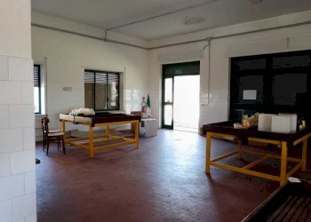 WhatsApp Image 2024-03-18 at 12.40.46 (4).jpeg - Non Alimentare Amelia - foto 18