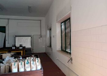 WhatsApp Image 2024-03-18 at 12.40.46 (5).jpeg - Non Alimentare Amelia - foto 19