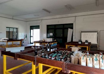 WhatsApp Image 2024-03-18 at 12.40.47.jpeg - Non Alimentare Amelia - foto 24