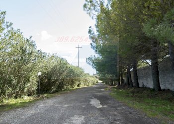 INGRESSO ESTERNO - Appartamento Contrada Piano Milo, Noto - foto 24