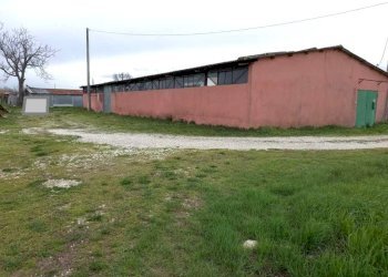 Shed Santarcangelo di Romagna - photo 2