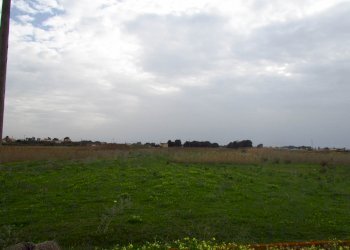 Terreno edificabile Località Fiori, Menfi - foto 4
